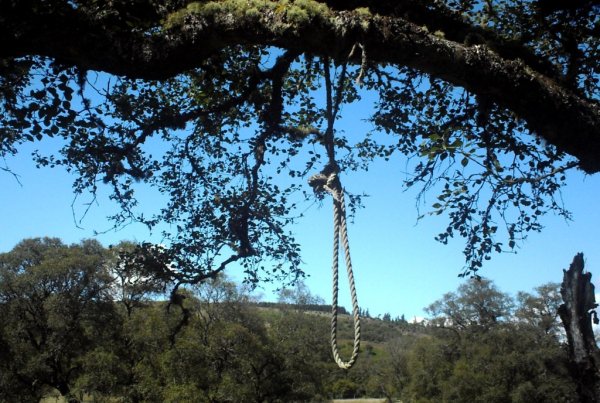 “I don’t have a picture, but last year I hiked part of the Appalachian trail in Tennessee when I came across a noose just hanging from one of the trees. Nothing was hanging from it, it was just there.”