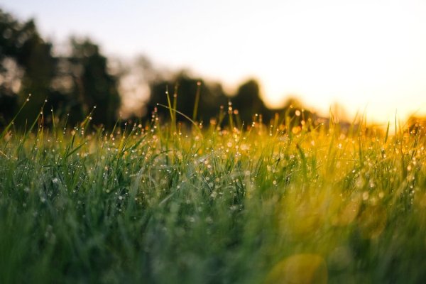 “Me and my brother were hiking out in our new backwoods (we had just moved into a new house) and we stumbled upon a small open grass field. In the center of it, there was a person with a blue jacket crouched over. We thought it was a friend of ours that we had recently met, so I ran out to meet. I did not have my glasses on, but I got pretty close enough to see that it was a grown man leaned over the carcass of a deer, stabbing it with an unsharpened stick. He looked up, and saw me. I was pretty freaked out, so I turned around and yelled at my brother to run, and so we started to sprint as fast as we could back home.”