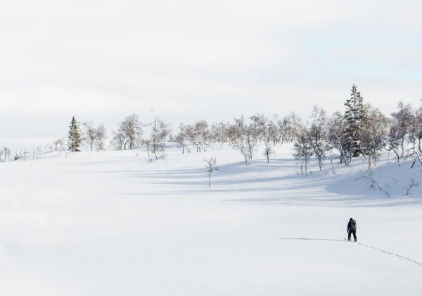 “The words “Per audacia ad ignotum” drawn in the snow in the absolute middle of nowhere, yet no footprints around them. The words were probably a few hours old. The closest translation we could find was “through audacity towards the unknown.”