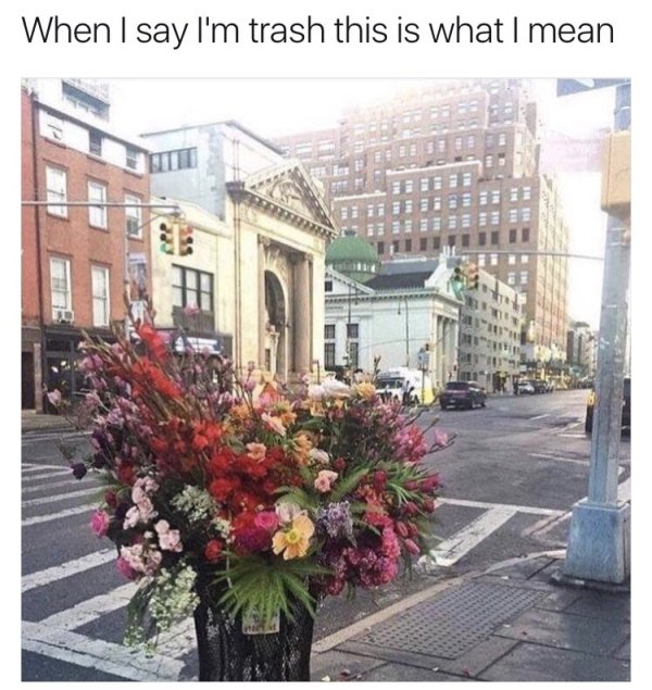 31 Wholesome memes will tug at your heartstrings