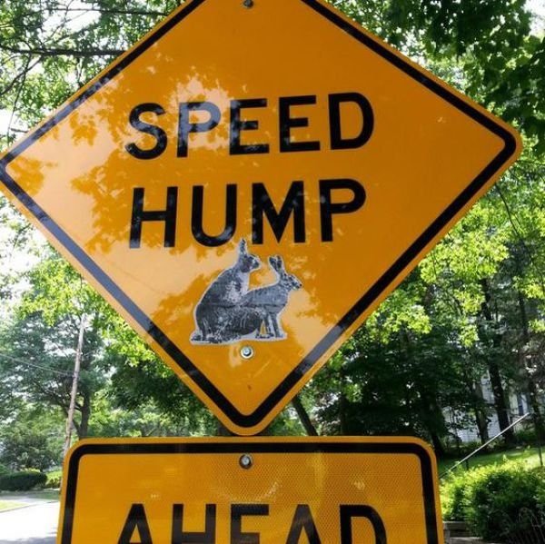 meme street sign - Speed Hump Aupan