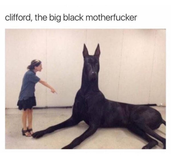 clifford the big black dog meme - clifford, the big black motherfucker