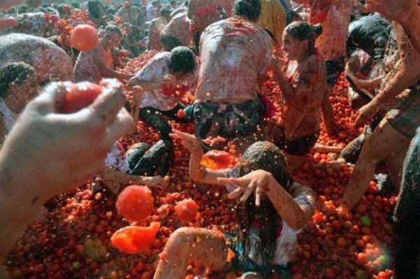 tomato throwing