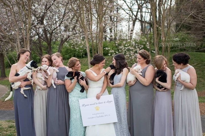 A bride and he bridesmaids replaced their bouquets with rescue puppies.
The wedding couple made donations to the animal shelter the dogs were from instead of handing out wedding favors to guests. In addition, all the pups that were used in the photos were adopted by the end of the day!