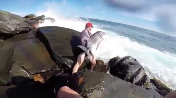 A poor fish was left stranded on land.
A kind stranger decided to help throw the stranded fish back into the ocean.