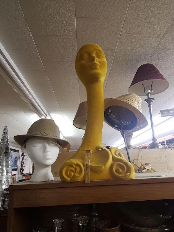 Elongated neck with head to posing with hats
