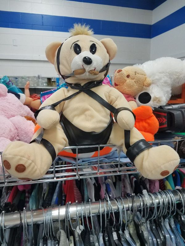 Teddy bear that has seen some things because he needed the money.