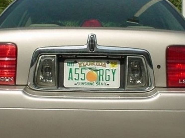 only in florida funny florida license plates - On Hj Sunshine State