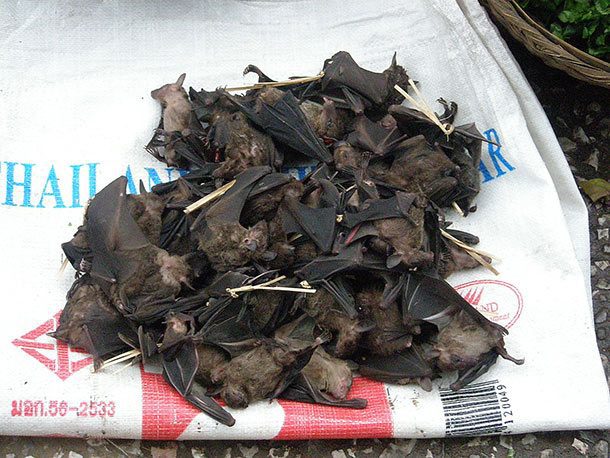 Bats.
Ace Ventura Pet Detective comes to mind when imagining people eating bats. But in the Pacific Islands and some countries in Asia prepare bats many different ways as they're considered the chicken of the caves. Hot tip: There are dangers to eating bats because most have rabies, and eating the consuming the nocturnal creature is tied to neurological disease.