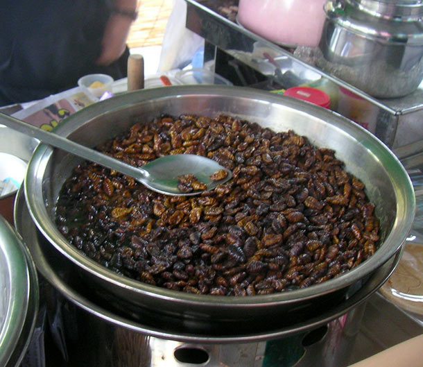Beondegi.
In Korea, they snack on deep fried silkworm pupae, similar to how we snack on chips or trail mix.