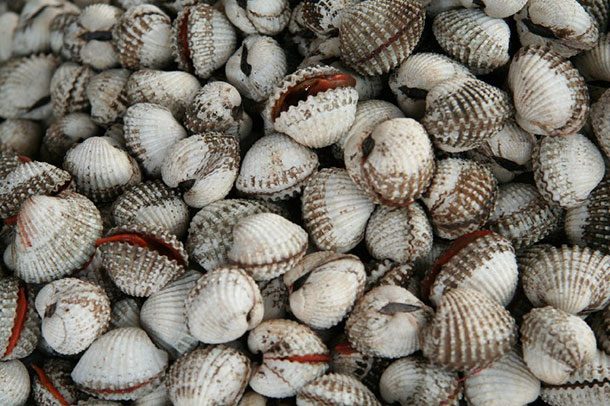 Blood Clams.
These clams are known to potentially give someone hepatitis, typhoid, and dysentery, thus being currently banned in China.