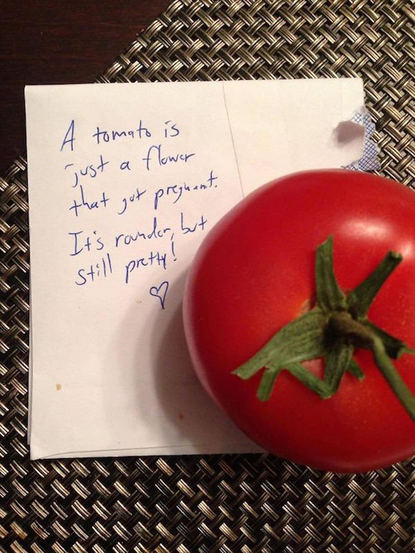 make a girl feel special - A tomato is Just a flower that got pregnant, It's raunder, but still pretty!