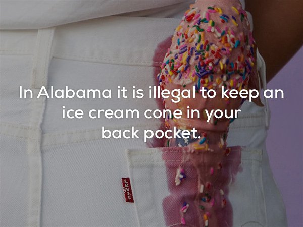 olivia locher - In Alabama it is illegal to keep an ice cream cone in your back pocket. 02