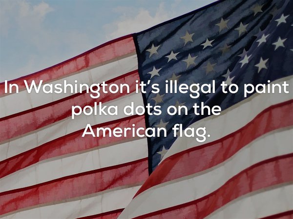 us independence day campaign - In Washington it's illegal to paint polka dots on the American flag