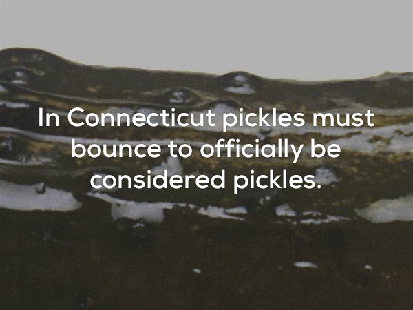 water resources - In Connecticut pickles must bounce to officially be considered pickles.