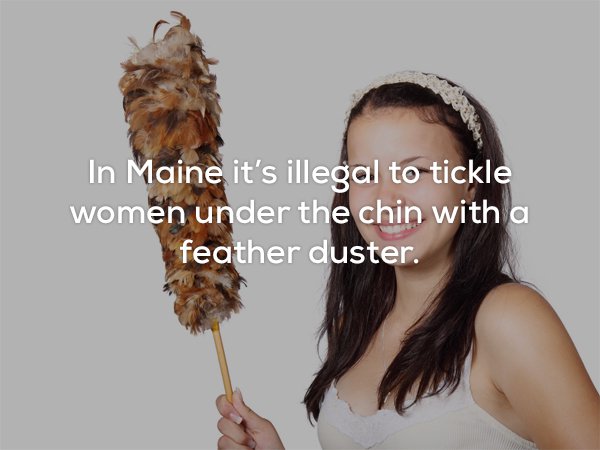 woman shopping - In Maine it's illegal to tickle women under the chin with a feather duster.