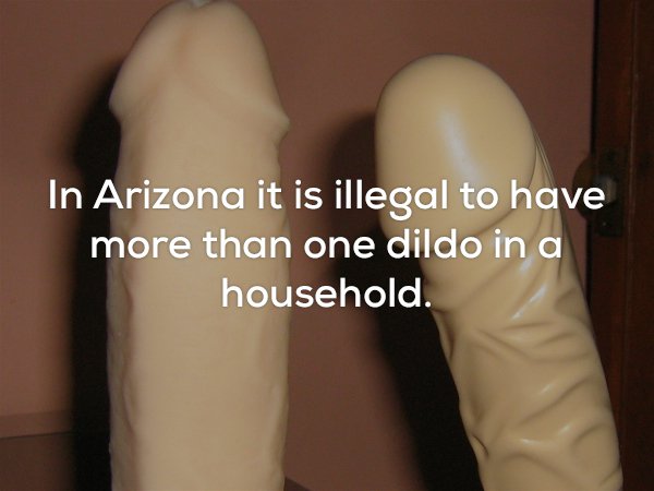leg - In Arizona it is illegal to have more than one dildo in a household.