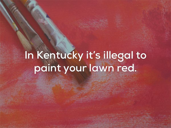 orange - In Kentucky it's illegal to paint your lawn red.