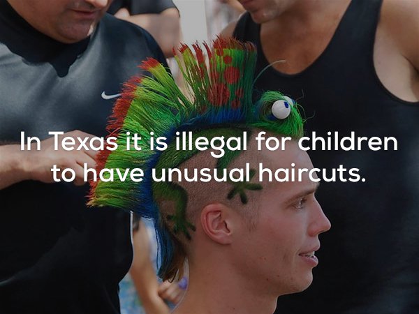 funny haircut - In Texas it is illegal for children to have unusual haircuts.