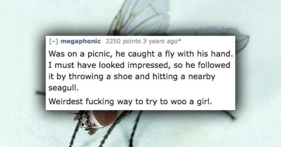 house flies - megaphonic 2250 points 3 years ago Was on a picnic, he caught a fly with his hand. I must have looked impressed, so he ed it by throwing a shoe and hitting a nearby seagull. Weirdest fucking way to try to woo a girl.
