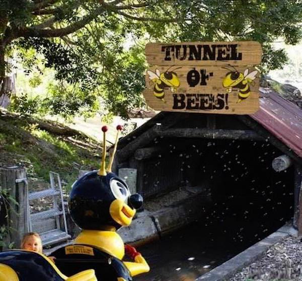 tunnel of bees - Tunnel Bhas