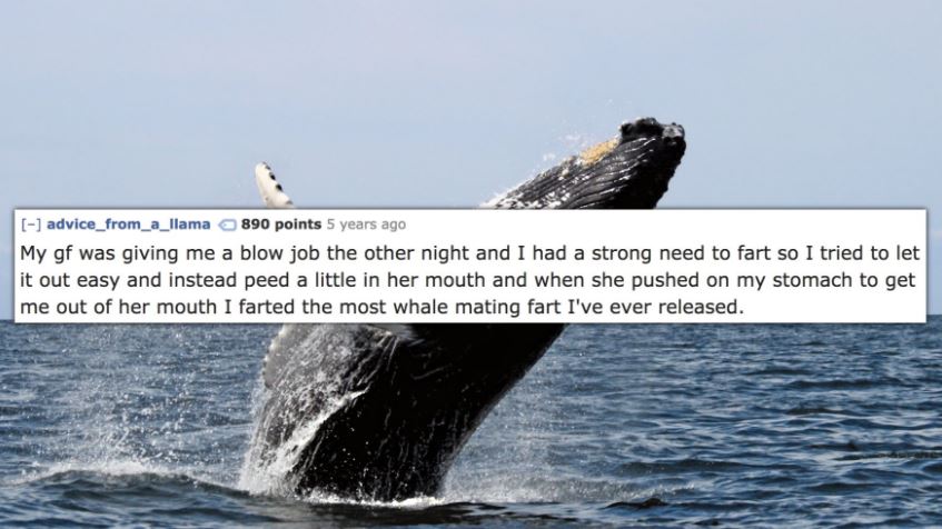humpback whale canada - advice_from_a_llama 890 points 5 years ago My gf was giving me a blow job the other night and I had a strong need to fart so I tried to let it out easy and instead peed a little in her mouth and when she pushed on my stomach to get