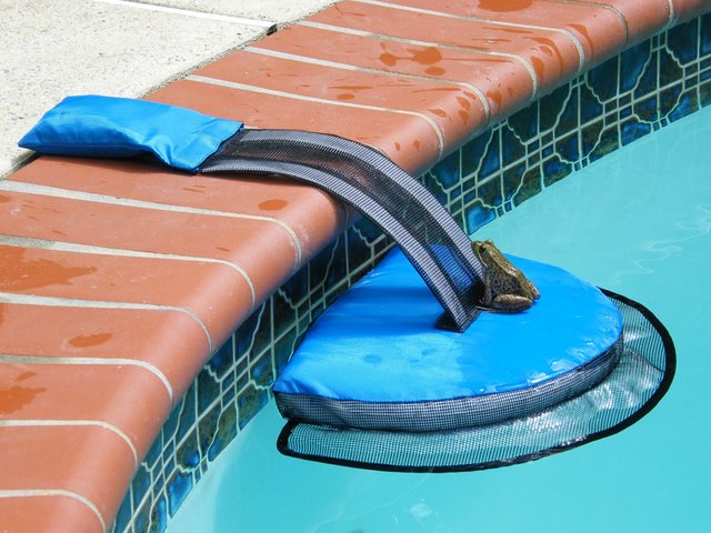 This ingenious device saves small animals – such as frogs, salamanders, mice or chipmunks – from drowning after they fall in a pool