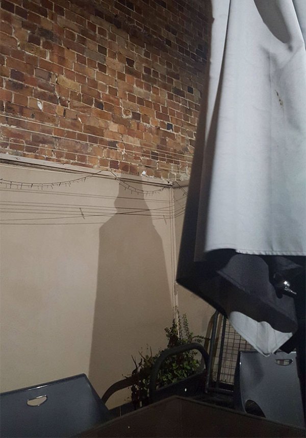 35 Secret images revealed by shadows will induce a double take