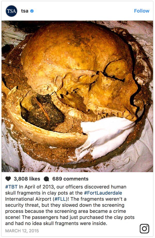 weird tsa finds - Tsa tsa 3,808 689 In April of 2013, our officers discovered human skull fragments in clay pots at the Lauderdale International Airport ! The fragments weren't a security threat, but they slowed down the screening process because the scre