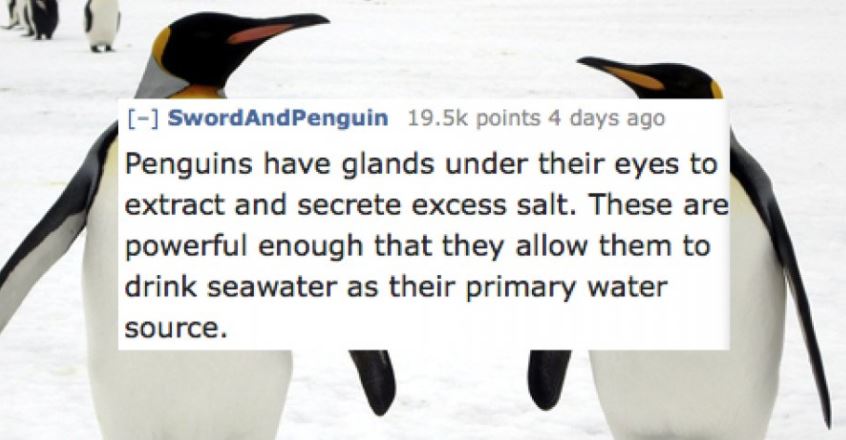 28 Bits Of Useless Trivia That Are Actually Fascinating
