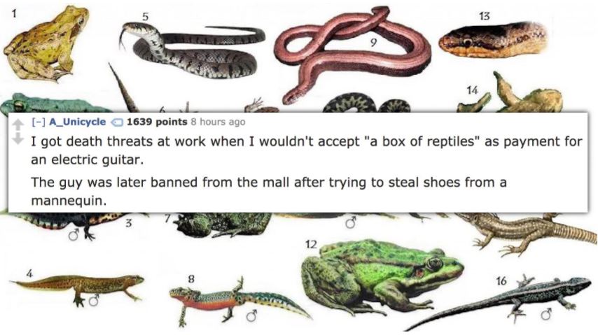 Man who got death threats for not accepting a box of reptiles as payment by man who eventually got arrested for stealing shoes off a mannequin.