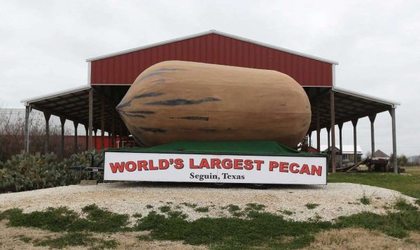 texas sized things - World'S Largest Pecan Seguin, Texas