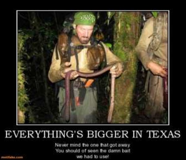 everything's bigger in texas meme - Everything'S Bigger In Texas Never mind the one that got away You should of seen the damn bait we had to use!