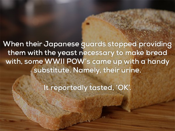 Story about how POWs in Japanese camps used urine to create yeast for bread, and turned out tasting pretty good.