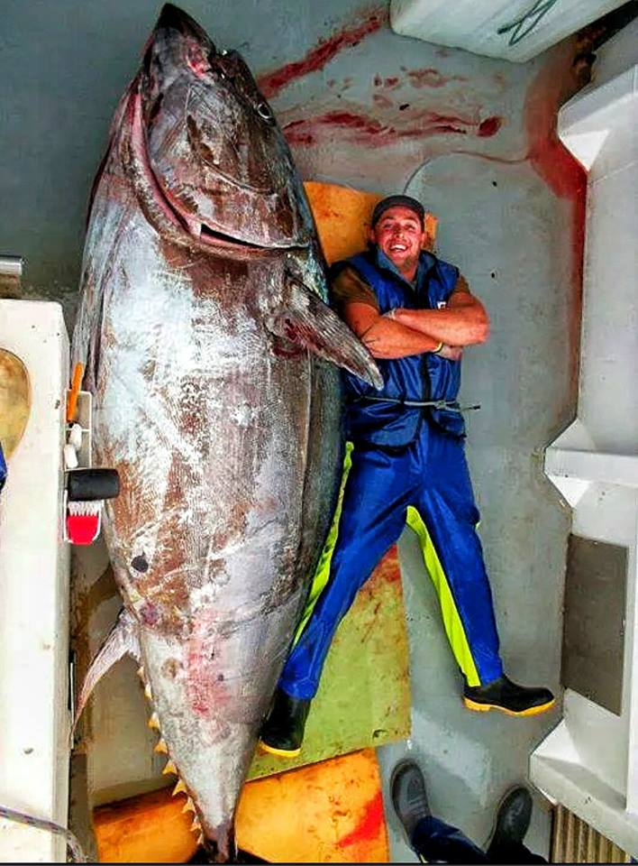 man next to massive fish he caught