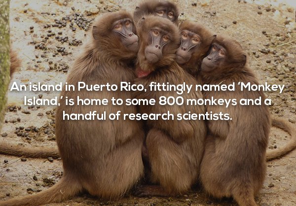 20 Random facts to add to your plethora of useless knowledge