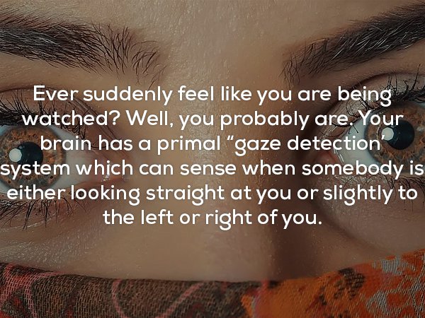 creepy facts - Ever suddenly feel you are being watched? Well, you probably are. Your brain has a primal "gaze detection' system which can sense when somebody is either looking straight at you or slightly to the left or right of you.