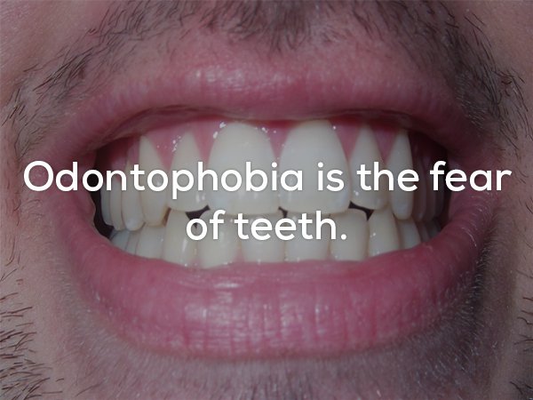 lip - Odontophobia is the fear of teeth.