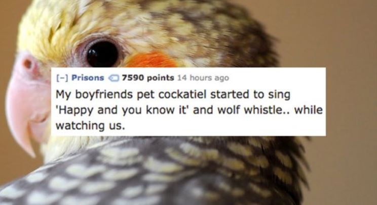 13 People Share What's Brought Their Sex to a Screeching Halt