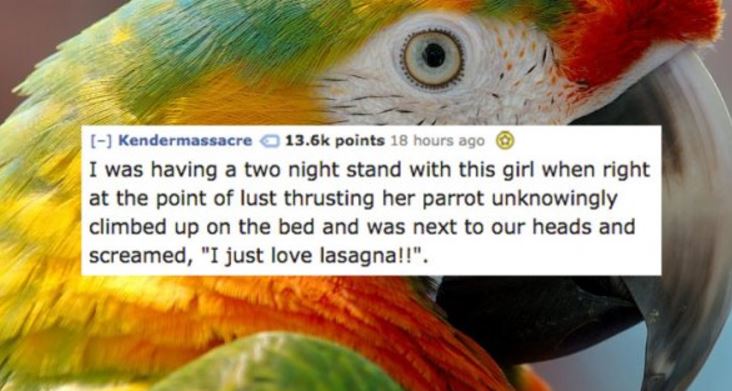 13 People Share What's Brought Their Sex to a Screeching Halt