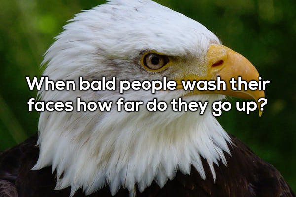 20 Shower Thoughts are a real mind f*ck