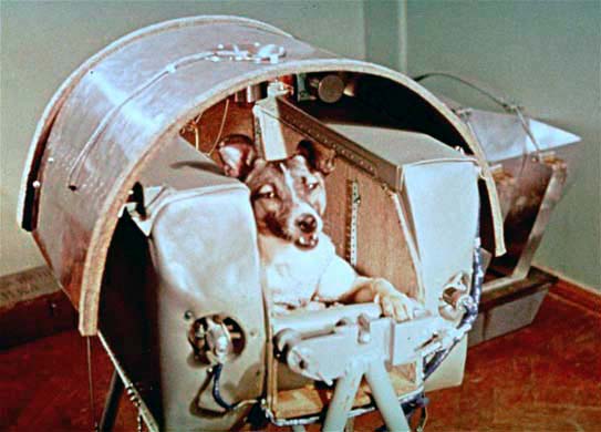 Laika, the first dog in space. No provisions were made for her return, and she died there 1957