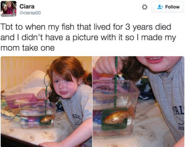 hilarious memes that will make you pee your pants - Ciara Tbt to when my fish that lived for 3 years died and I didn't have a picture with it so I made my mom take one