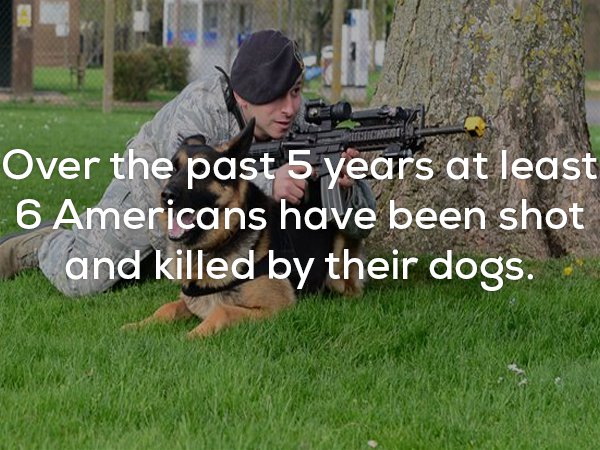 Disturbing fact about how 6 Americans in the past 5 years have been shot and killed by their dog.