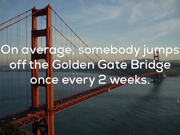 Disturbing fact about the Golden Gate Bridge and how someone jumps off it every 2 weeks or so.