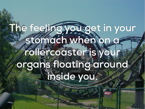 Disturbing fact about how the feeling on a roller coaster is your organs floating around.