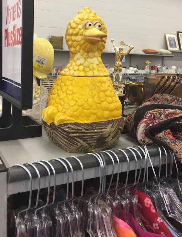 thrift shop treasure of big bird in a tub