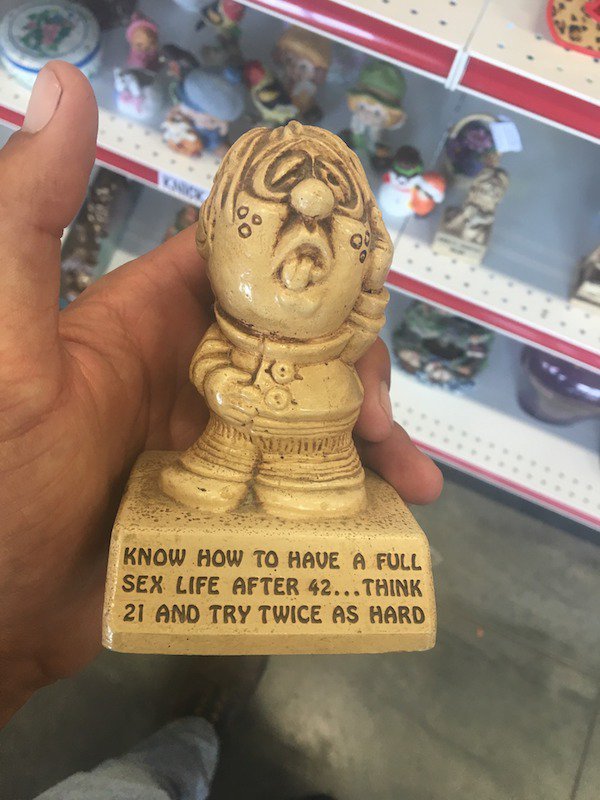 32 Weird, Funny & WTF Thrift Store Finds