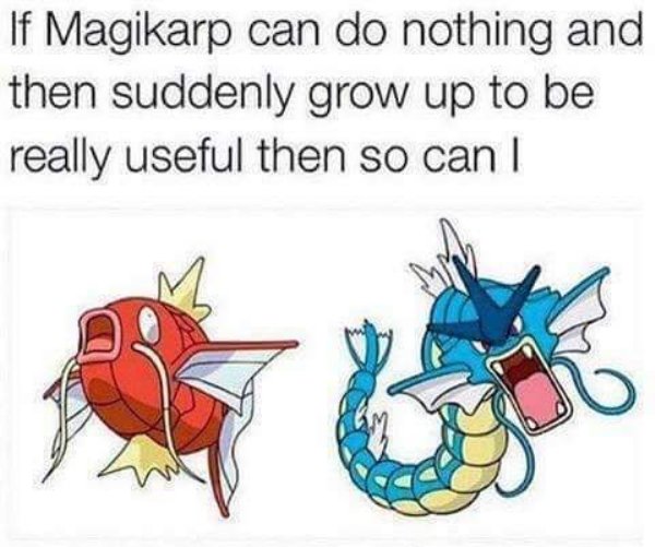 wholesome meme Pokemon meme about Magikarp and if they can grow up to be useful that so can I