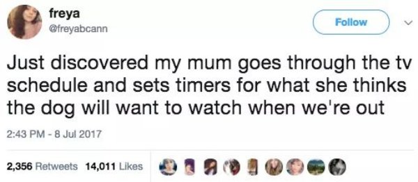 wholesome meme Tweet of woman who just discovered that her mom programs the TV to record shows the dog might enjoy while they are out.